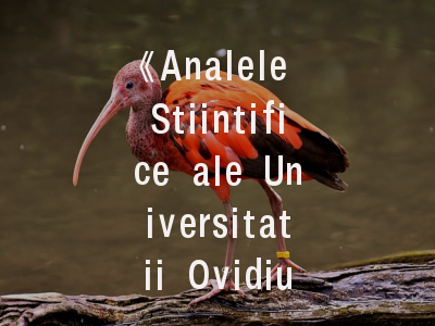 《Analele Stiintifice ale Universitatii Ovidius Constanta-Seria Matematica》期刊解析——数学学者必知的投稿全攻略