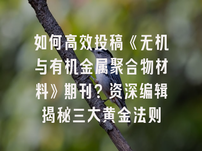 如何高效投稿《无机与有机金属聚合物材料》期刊？资深编辑揭秘三大黄金法则
