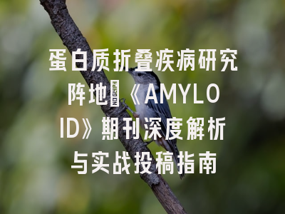 蛋白质折叠疾病研究阵地｜《AMYLOID》期刊深度解析与实战投稿指南