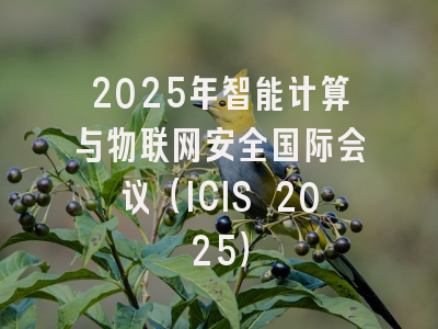 2025年智能计算与物联网安全国际会议（ICIS 2025）