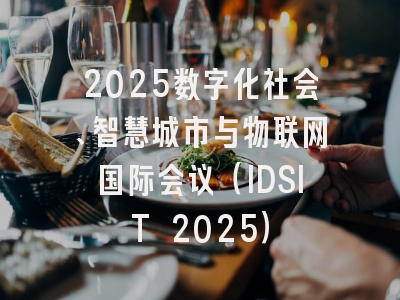 2025数字化社会、智慧城市与物联网国际会议（IDSIT 2025）