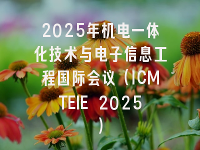 2025年机电一体化技术与电子信息工程国际会议（ICMTEIE 2025）