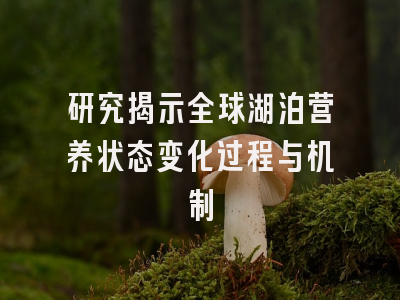 研究揭示全球湖泊营养状态变化过程与机制