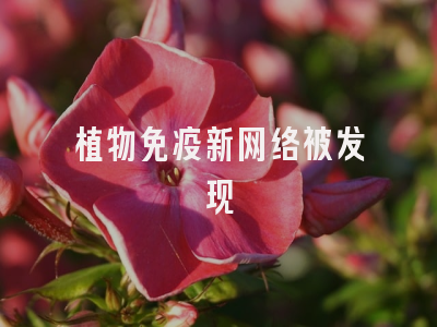 植物免疫新网络被发现