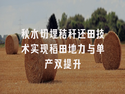 秋水切埋秸秆还田技术实现稻田地力与单产双提升