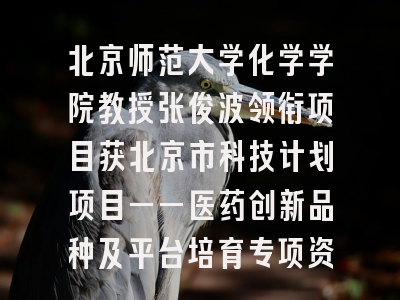 北京师范大学化学学院教授张俊波领衔项目获北京市科技计划项目——医药创新品种及平台培育专项资助