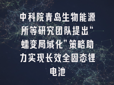中科院青岛生物能源所等研究团队提出“蠕变局域化”策略助力实现长效全固态锂电池
