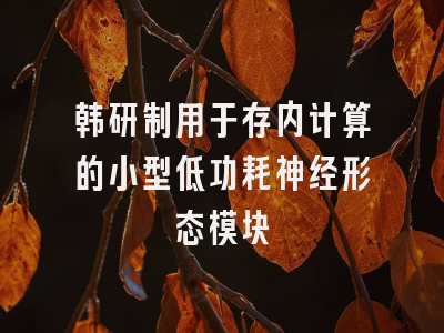 韩研制用于存内计算的小型低功耗神经形态模块