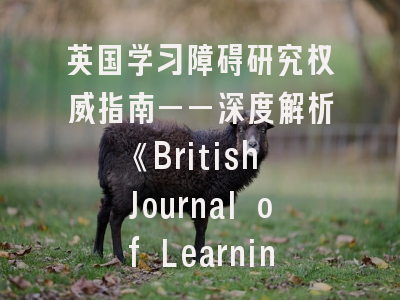 英国学习障碍研究权威指南——深度解析《British Journal of Learning Disabilities》投稿策略