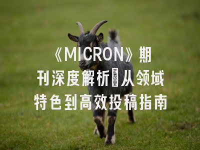 《MICRON》期刊深度解析：从领域特色到高效投稿指南