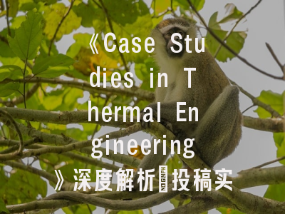 《Case Studies in Thermal Engineering》深度解析_投稿实战必读指南