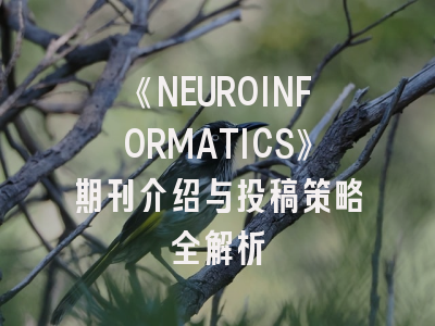 《NEUROINFORMATICS》期刊介绍与投稿策略全解析