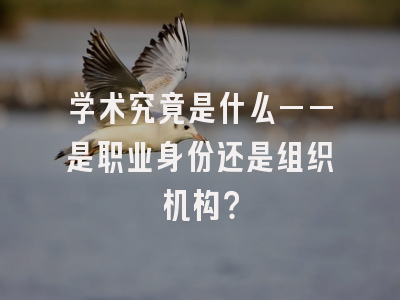 学术究竟是什么——是职业身份还是组织机构？