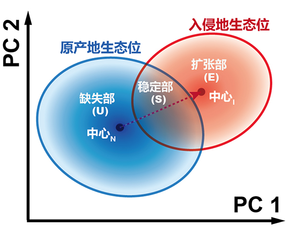 中国海洋大学在全球海洋生物入侵研究领域取得新进展