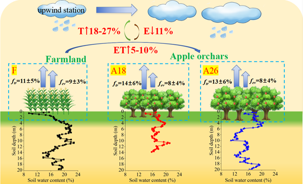 西北农林科技大学(731)水保全重室李志教授团队在黄土高原植被变化对降水再循环方面取得进展