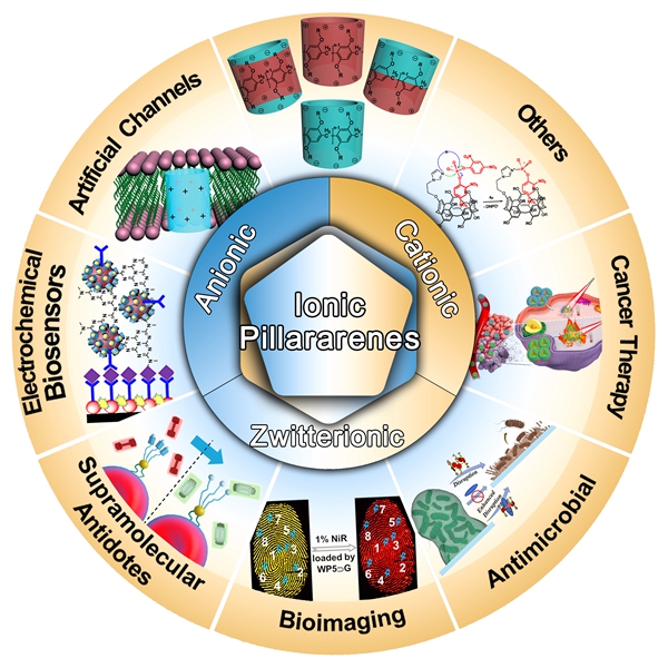 西北农林科技大学(729)化药学院裴志超教授团队在《Chemical Society Reviews》发表综述文章