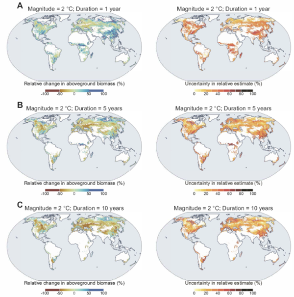 西北农林科技大学(712)农学院秦晓梁教授课题组在气候变暖对全球不同生态系统植物生物量固存方面取得重要进展