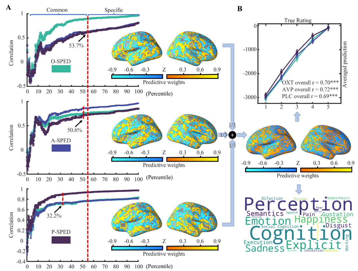 电子科技大学生命学院neuSCAN团队赵伟华副研究员在PNAS发表最新研究成果