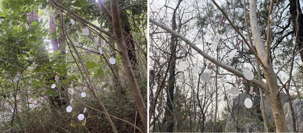 北京大学生命科学学院姚蒙课题组研发新型空气eDNA采集器高效检测动植物多样性