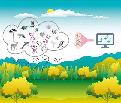 北京大学生命科学学院姚蒙课题组研发新型空气eDNA采集器高效检测动植物多样性