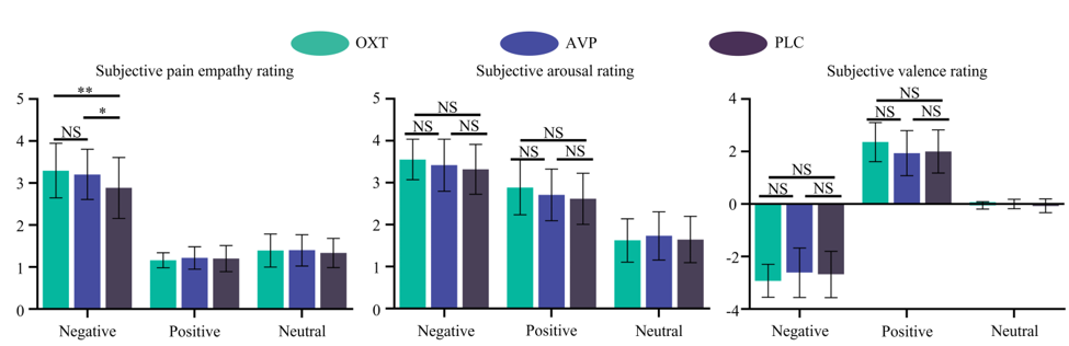 电子科技大学生命学院neuSCAN团队赵伟华副研究员在PNAS发表最新研究成果