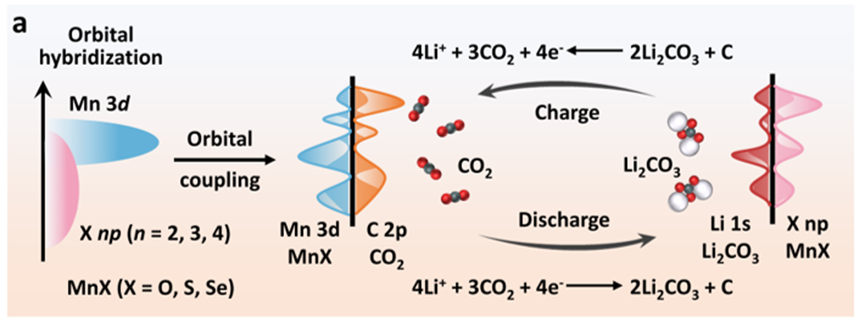 西安交大何雅玲教授团队在锂-二氧化碳电池研究领域取得新进展
