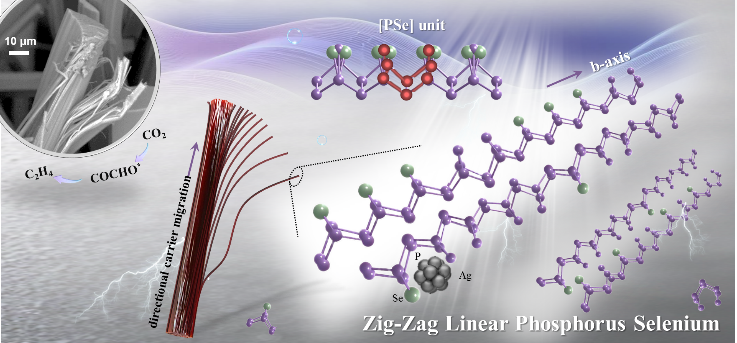西安交大科研团队在硒原子替代的一维锯齿状磷制备 及其二氧化碳高选择性还原制乙烯研究取得重要进展
