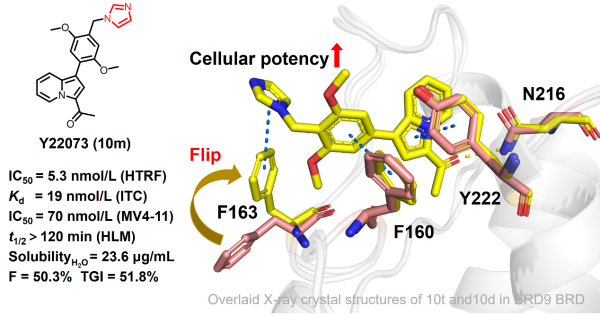 溴结构域蛋白9选择性抑制剂研究获进展