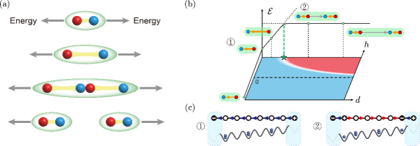 科学家在量子模拟实验中观测到“弦断裂”现象