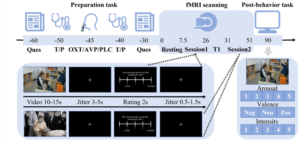 电子科技大学生命学院neuSCAN团队赵伟华副研究员在PNAS发表最新研究成果