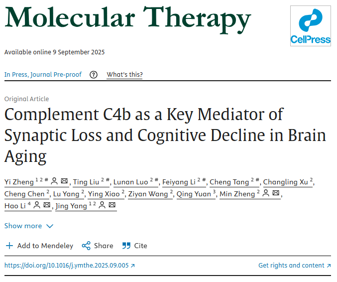 电子科技大学医学院科研团队在Molecular Therapy、Molecular Psychiatry和elife发表3篇论文