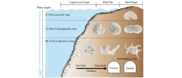 珊瑚礁灰岩孔隙结构表征及力学强度智能预测获进展