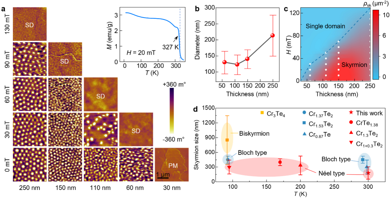 南开科研团队在室温二维拓扑磁性材料设计开发方面取得重要进展