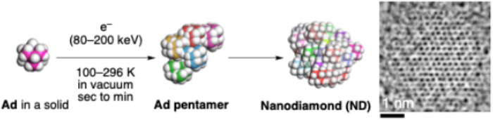 南开团队最新研究成果登上《科学》