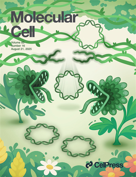 南开团队在肿瘤细胞染色体外DNA形成新机制方向取得新进展
