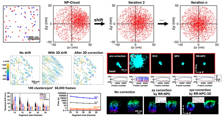 南开团队开发最近邻配对云图算法给出单分子定位超分辨成像漂移校正新策略