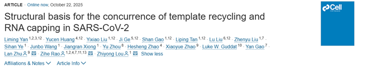 南开清华联合研究团队成果Cell发表