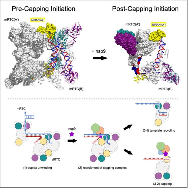南开清华联合研究团队成果Cell发表