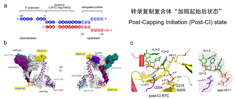 南开清华联合研究团队成果Cell发表