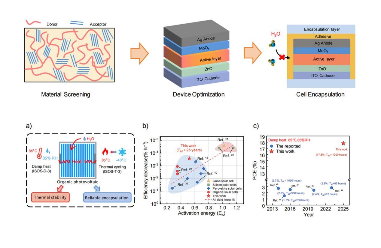 中国科大在有机光伏电池湿热和冷热循环极端环境稳定性研究取得突破