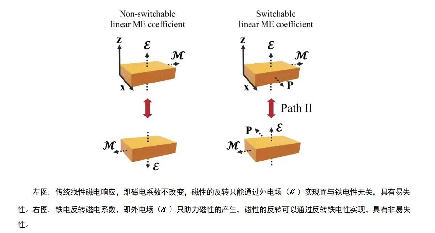 东南大学逯学曾团队建立“铁电切换磁电系数”普适理论,为非易失性存储器提供了新的理论基础