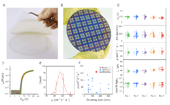 南京大学稀土原子“点石成晶”!南大-苏州实验室联合成果登上Science