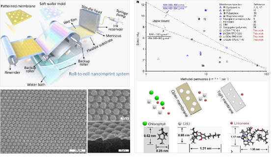 华中科技大学环境学院杨家宽袁书珊团队基于纳米压印策略构筑聚酰胺耐有机溶剂纳滤膜实现超快精准分子筛分