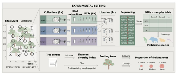 空气eDNA揭示果实资源对食果动物分布的影响