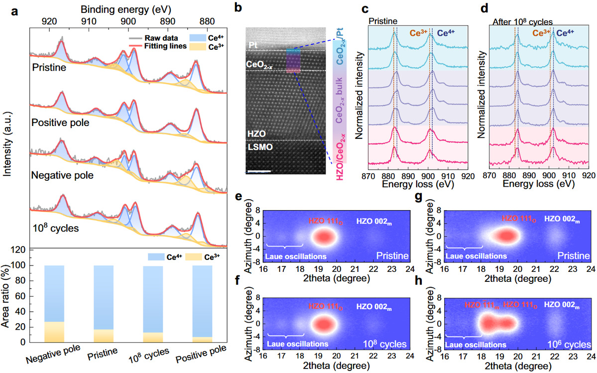 哈工大陈祖煌教授团队通过界面设计突破铪基铁电器件可靠性极限