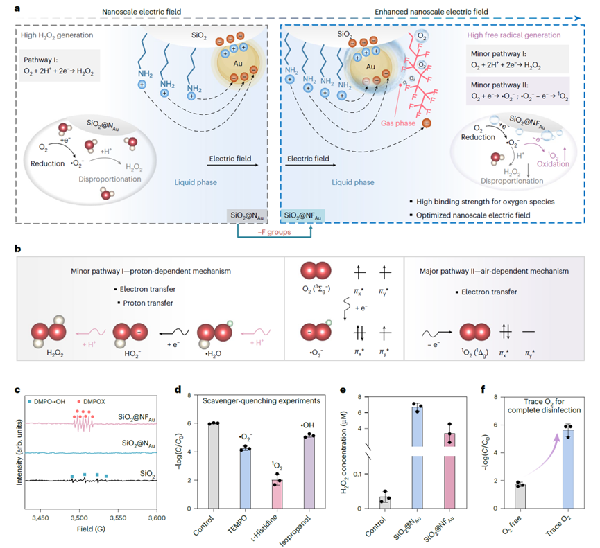 电子科技大学基础院邓旭教授团队在Nature Nanotechnology上发表最新研究成果