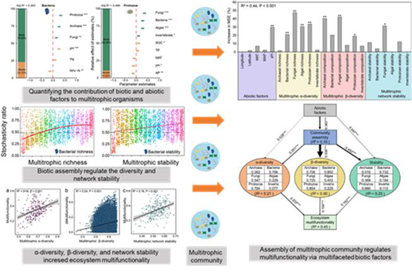西北农林科技大学(746)资源环境学院李明教授团队在汉江上游水生态系统健康与环境过程领域研究取得阶段性进展