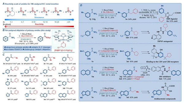 西北农林科技大学(738)植保学院分子靶标发现与绿色农药创制团队在伯酰胺烷基化及其在活性分子合成领域的应用方面取得重要进展