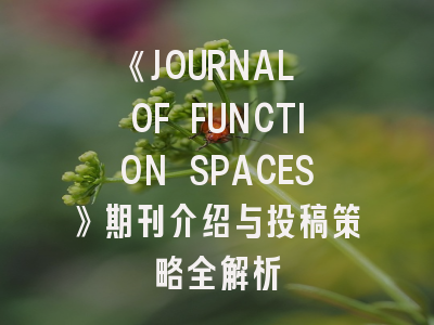 《JOURNAL OF FUNCTION SPACES》期刊介绍与投稿策略全解析
