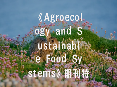 《Agroecology and Sustainable Food Systems》期刊特色解析——农业生态研究者必读的投稿指南